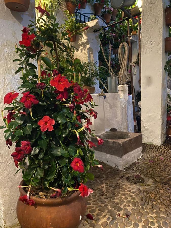 Atico Casa Lola Apartman Córdoba Kültér fotó